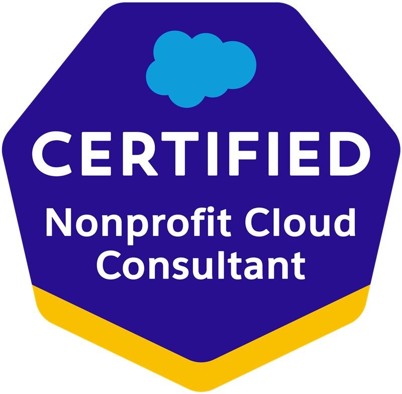 Certified Nonprofit Cloud Consultant