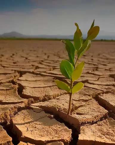 Seguridad y resiliencia